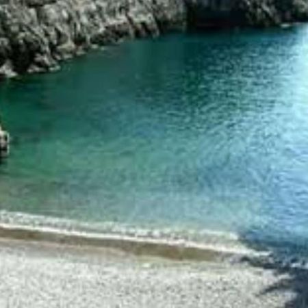 Green Apartment In Sorrento Coast 马萨鲁布朗斯 外观 照片